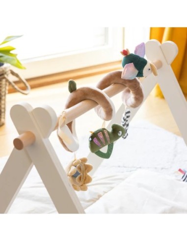 Sebra - Activity Spiral - Wildlife