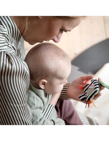 Sebra - Activity Rattle - Constrast Black/White