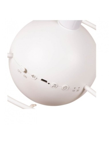 Flow Amsterdam - Giostrina Ocean