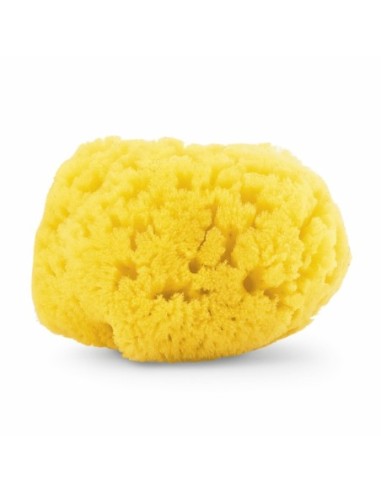 Chicco - Spugna Marina Igiene Sicura