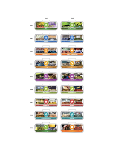 VTech - Video Microscopio Interattivo