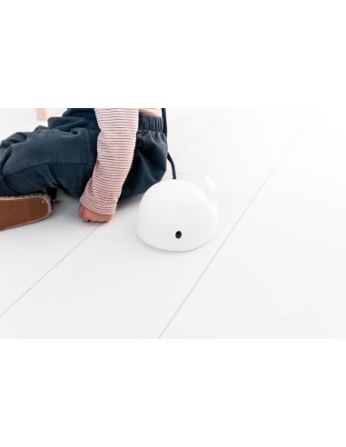 Flow Amsterdam - Luce da Notte Balena Moby