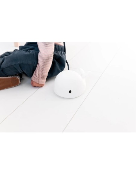 Flow Amsterdam - Luce da Notte Balena Moby