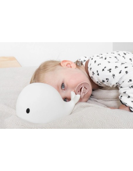 Flow Amsterdam - Luce da Notte Balena Moby