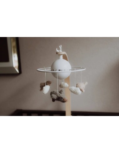 Flow Amsterdam - Giostrina Liva