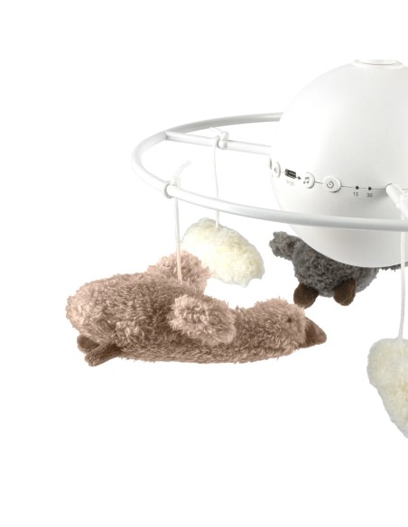 Flow Amsterdam - Giostrina Liva