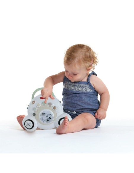 Tiny Love - Giostrina Soothe N Groove con Decorazioni Black e White