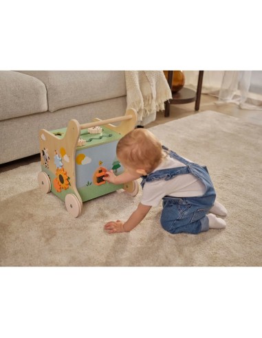 Tiny Love - Girello in Legno