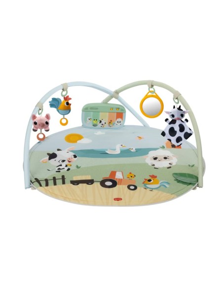 Tiny Love - Palestra Dinamica Gioco