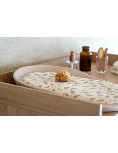 Quax - Cuscino con Inserto Mamee