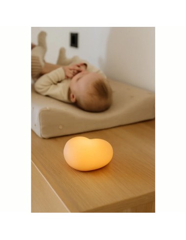 Flow Amsterdam - Luce Notturna Ruby